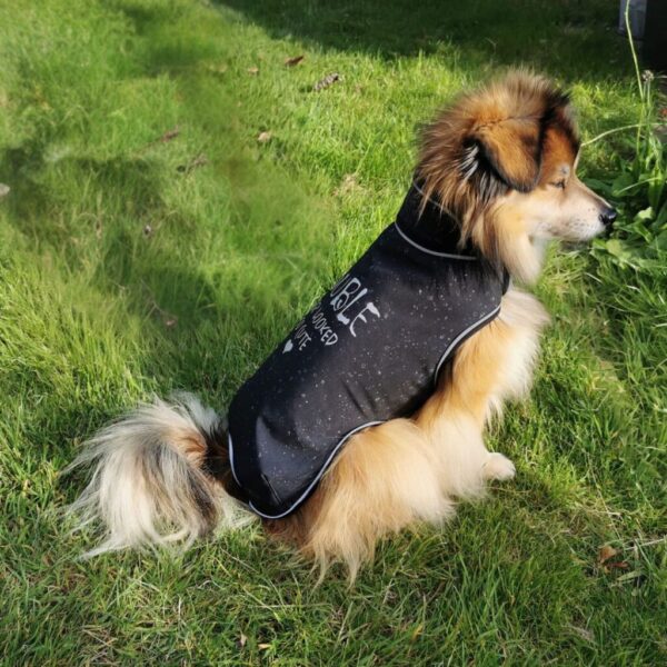 Allwettermantel Hunde – Bild 3
